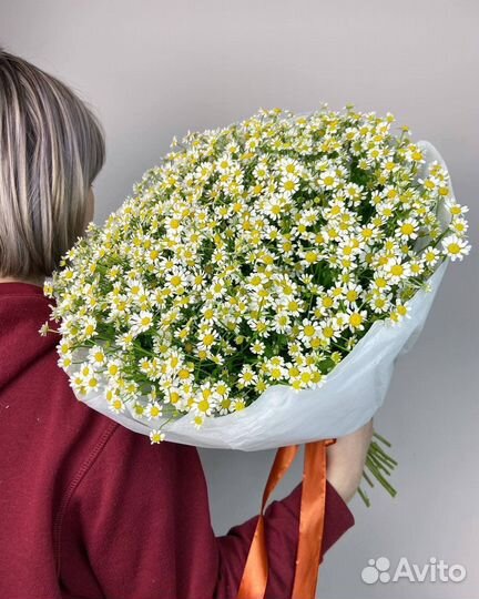 Букет из ромашек