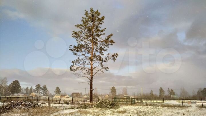 Участок 15 сот. (СНТ, ДНП)