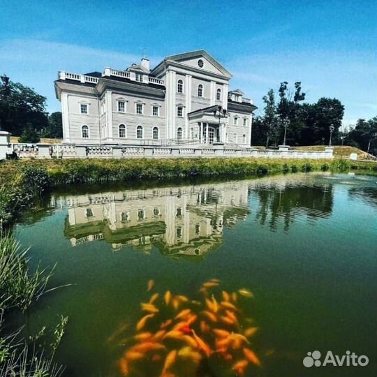 Туристические услуги в Калининграде