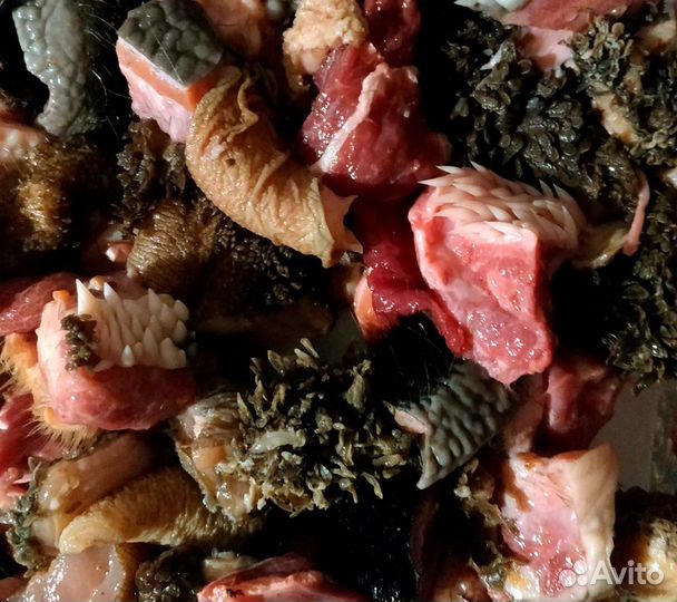 Мясо и субпродукты для собак