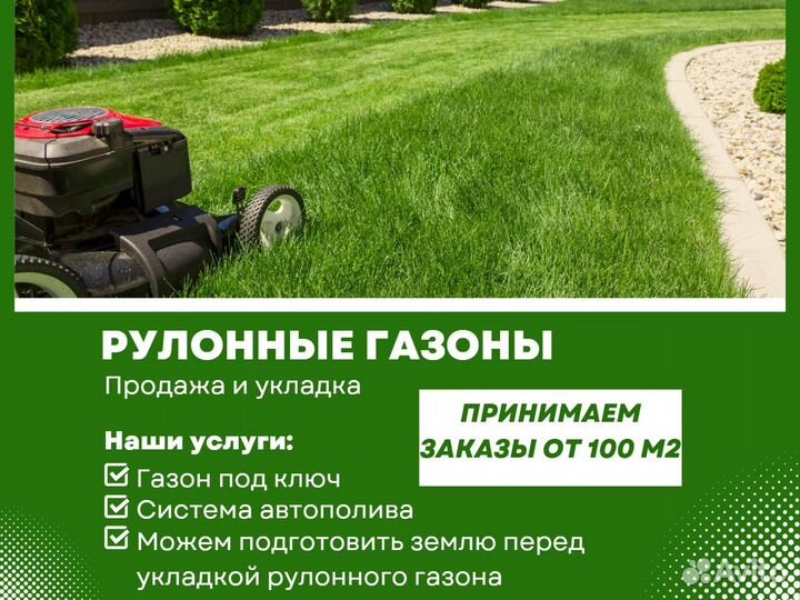 Укладка газона