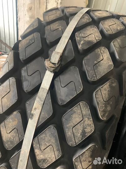 Шина 23.1 26 Apollo ARC 317 Индия