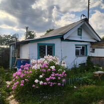 Д н п с. Шорыгин. Д н п с. Д н п с. Н д кашкин.