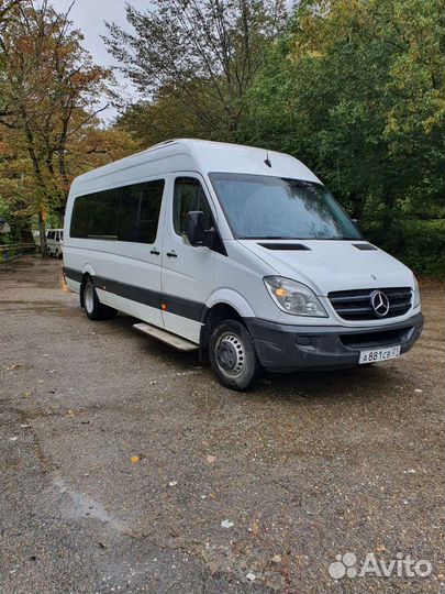 Пассажирские перевозки