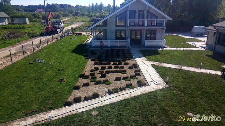 Рулонный газон с доставкой и укладкой