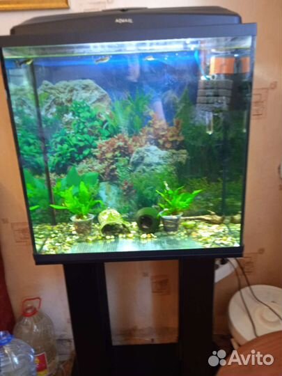 Аквариумы