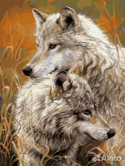 Картина по номерам 40х50 Влюбленные волки GX8873