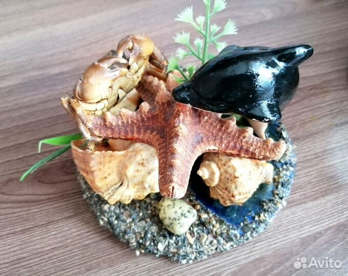 Композиция из морских обитателей и ракушек