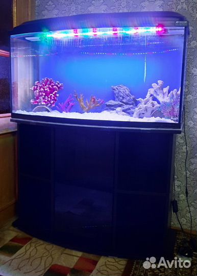 Аквариумный комплекс aquael 200л