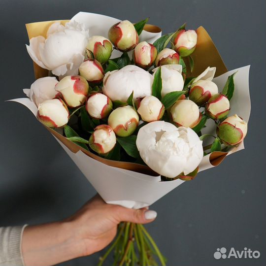 Пионы Цветы Доставка