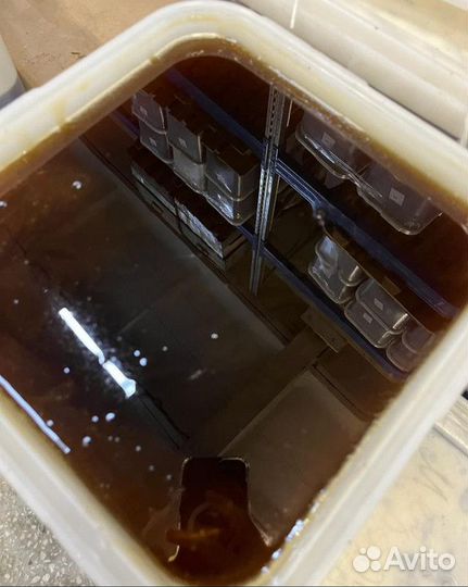 Разнотравье темное.Свежий мёд оптомКачка 2023г