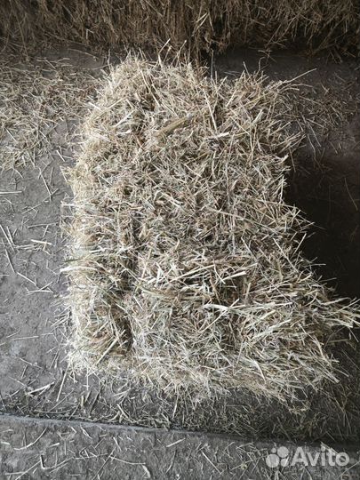 Сено люцерна