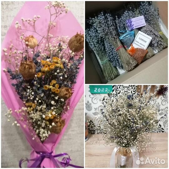 Лаванда, сухоцветы