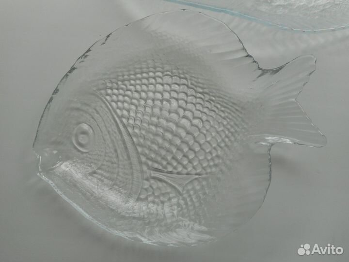 Рыбницы стеклянные