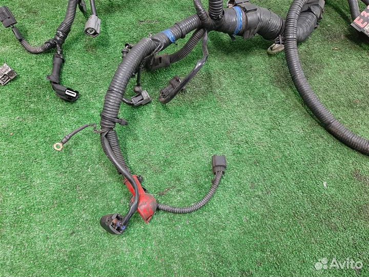 Жгут проводки двигателя Nissan Qashqai J10 2008