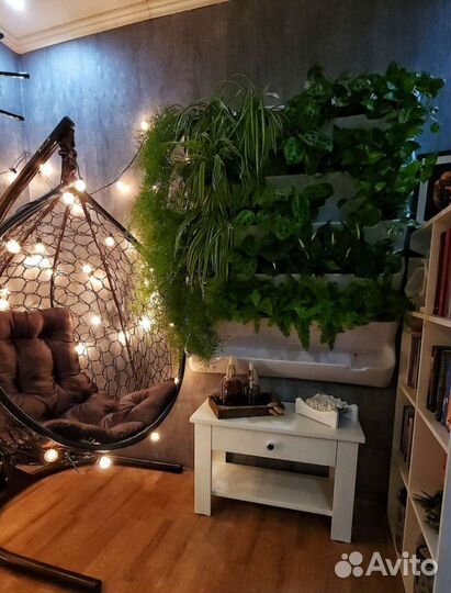 Фитомодуль для растений