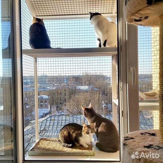 Балкон для кота
