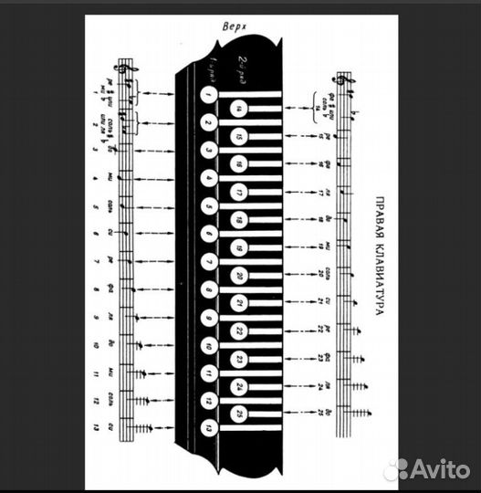 Разбор обучение на гармони по цифрам