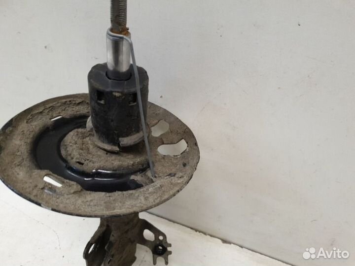 Амортизатор передний правый Toyota Camry V70 2018