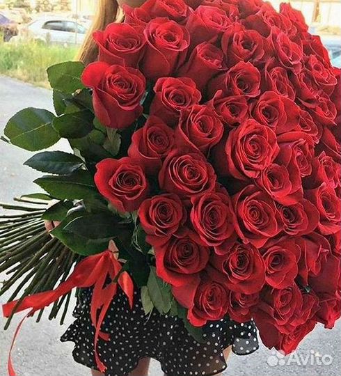 Высокие розы Гигантские Розы 150 160 170 180 190см