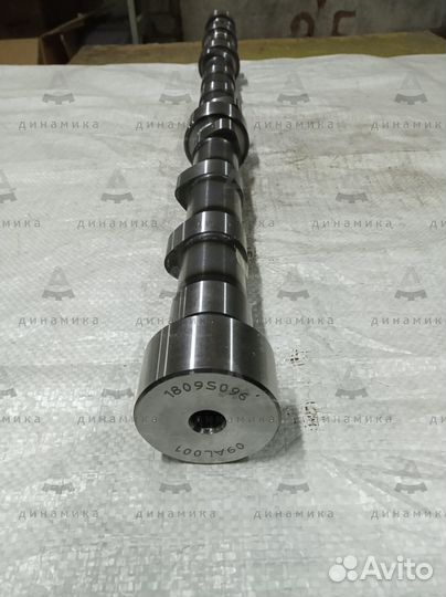 Распредвал двигателя Shanghai C6121 7E9980/C09AL-0