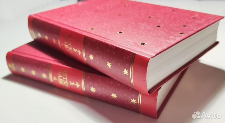 Иллюстрированный Ветхий Завет (2 тома)