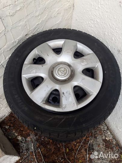 Hankook Winter I'Cept Evo 205/65 R15 и 205/65 R15 B