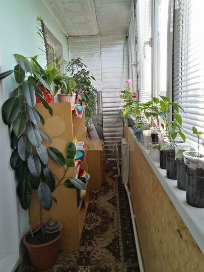 3-к. квартира, 57,8 м², 2/2 эт.