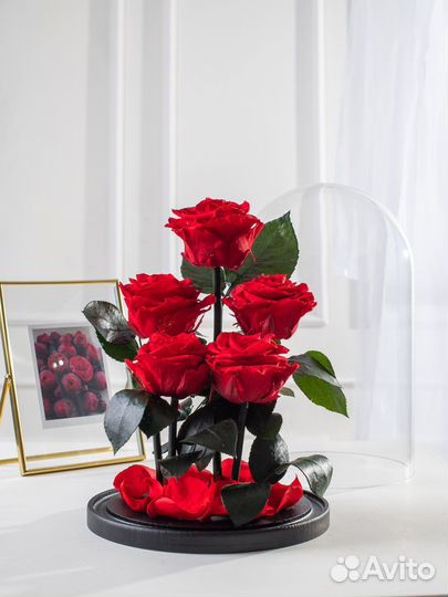 Долговечная живая роза в колбе