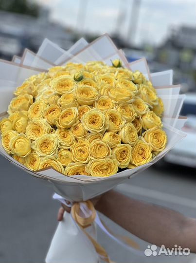 Пиано видное Роза Кустовой