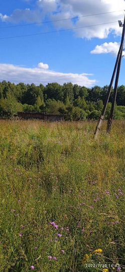 Дом 50 м² на участке 20 сот.