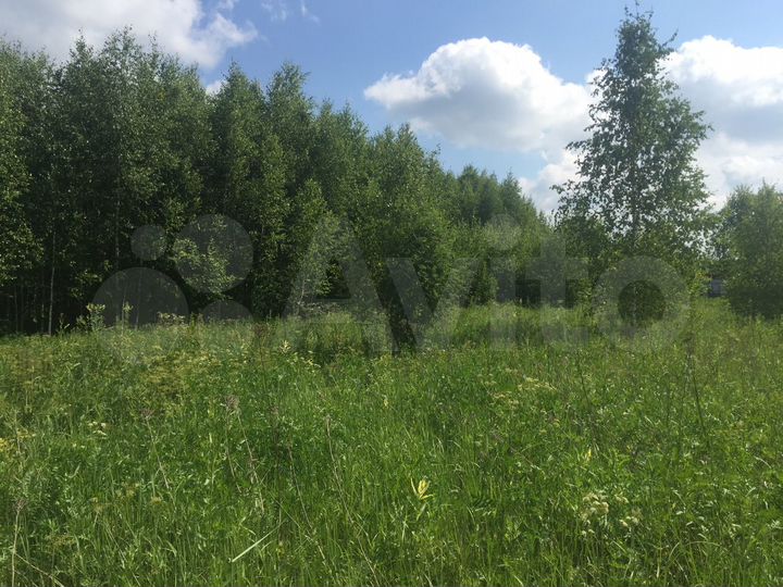 Участок 24 сот. (СНТ, ДНП)