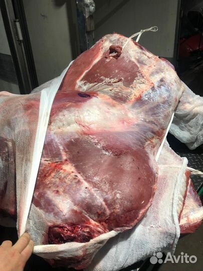 Говядина охлажденная быки в полутушах