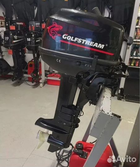 Лодочный мотор Golfstream (Гольфстрим) T9.8 BMS Но