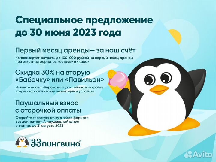 Франшиза мороженое «33 пингвина». Летняя торговля