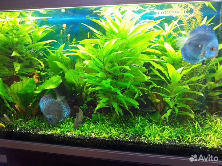 Грунт для аквариума черный