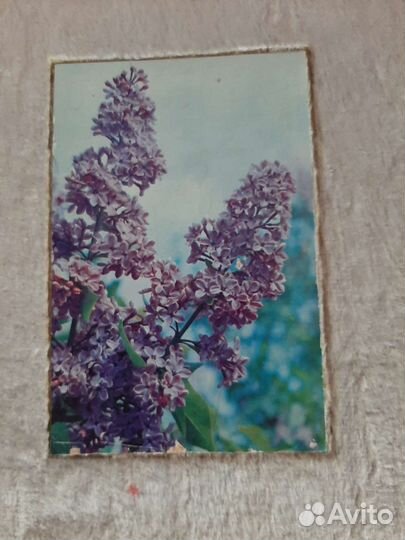 Фотоальбом СССР