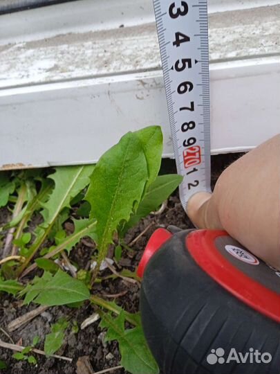 Окна пластиковые бу