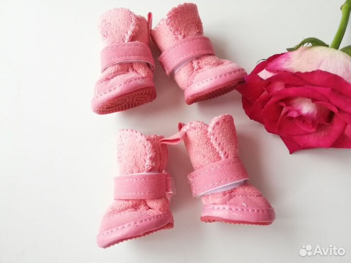 Обувь для собак