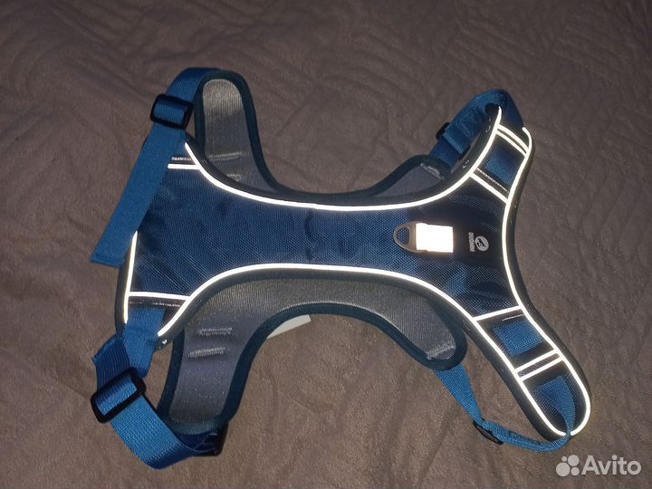 Шлейка для собаки