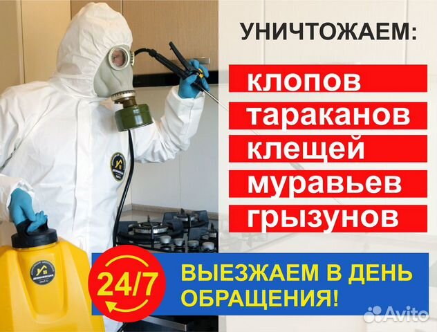 Клоп в тюмени