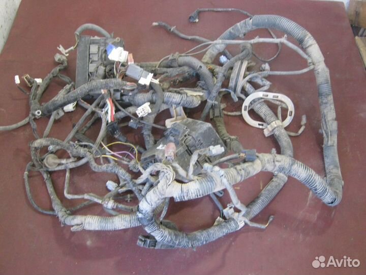 Проводка подкапотная салона торпедо Primera Р 12