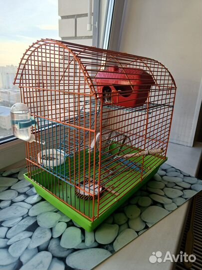 Джунгарский хомяк с клеткой