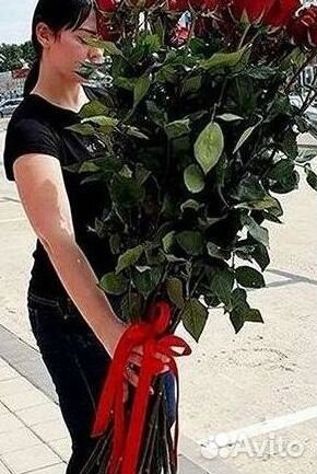 Высокие розы Гигантские розы с доставкой