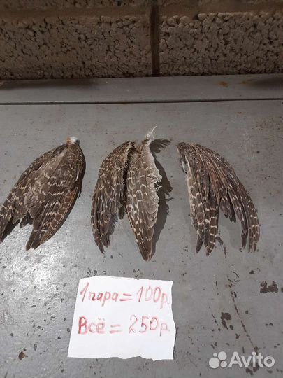 Игрушки для домашних животных