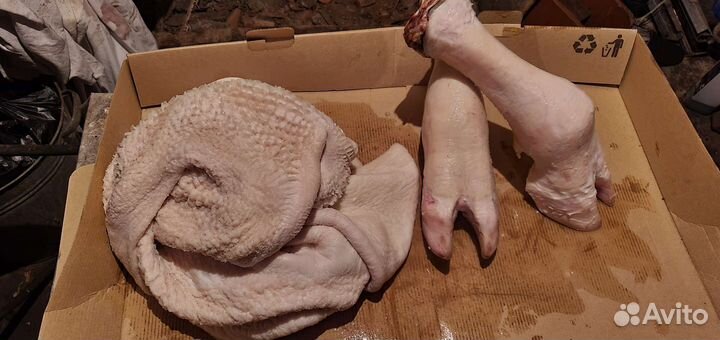 Требуха говяжья