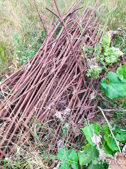 Столбы на забор