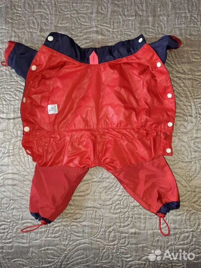 Дождевик для маленькой собаки