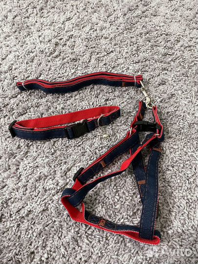 Шлейка, ошейник, поводок для собак