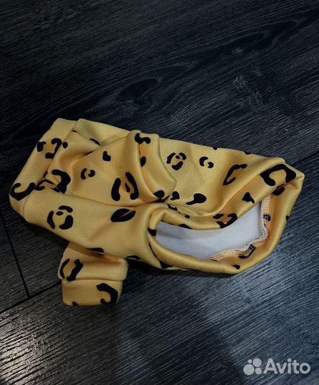 Одежда для маленьких собак и кошек